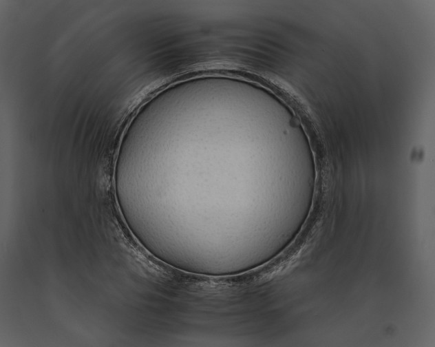 X0000090960929200708241149