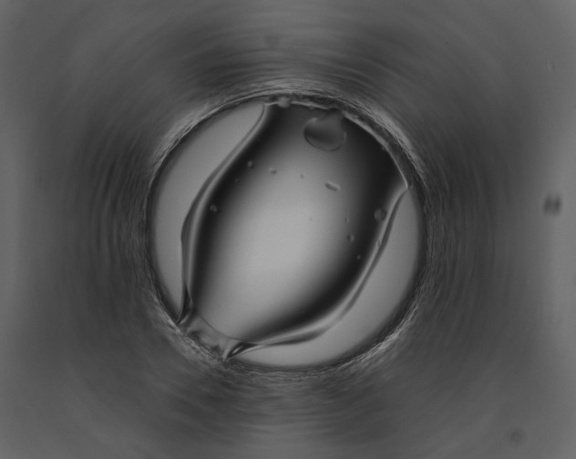 X0000090960930200708241149