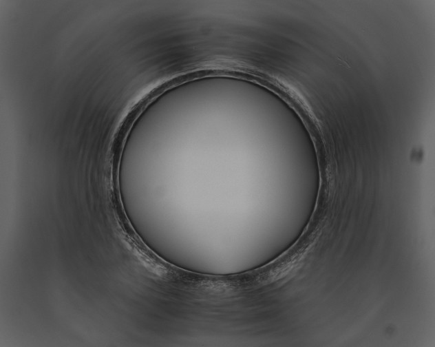 X0000090960931200708241149