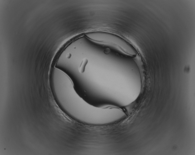 X0000090960932200708241149