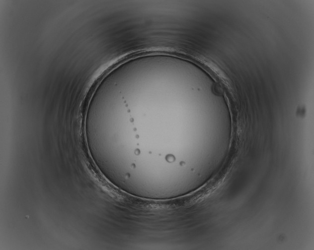 X0000090960933200708241149