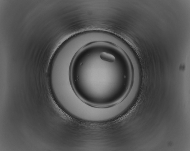 X0000090960934200708241149