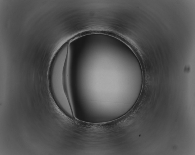 X0000090960935200708241149