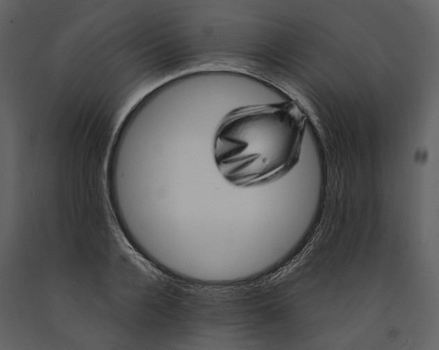 X0000090960936200708241149
