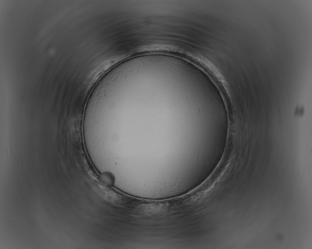 X0000090960937200708241149