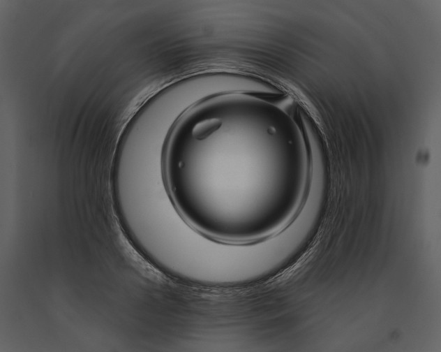 X0000090960938200708241149