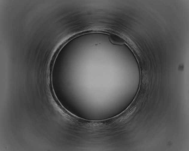X0000090960939200708241149