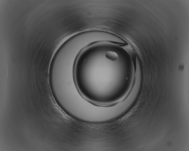 X0000090960940200708241149
