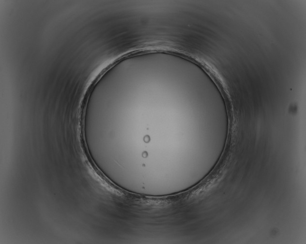 X0000090960941200708241149