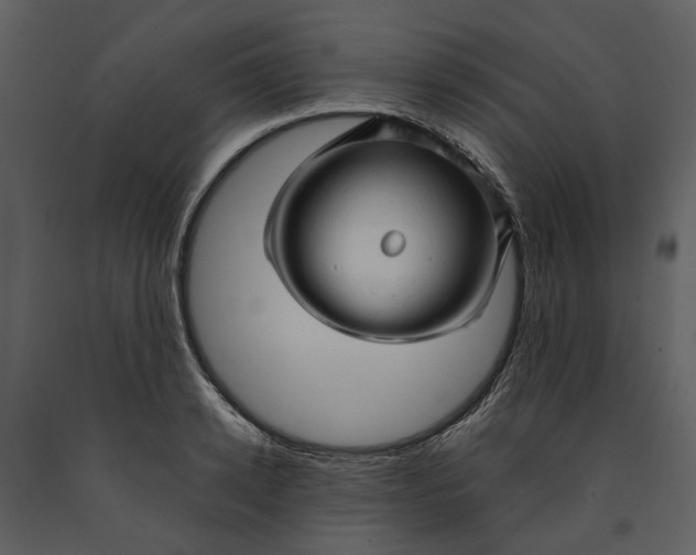 X0000090960942200708241149