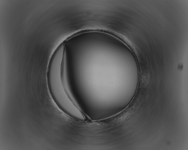 X0000090960943200708241149