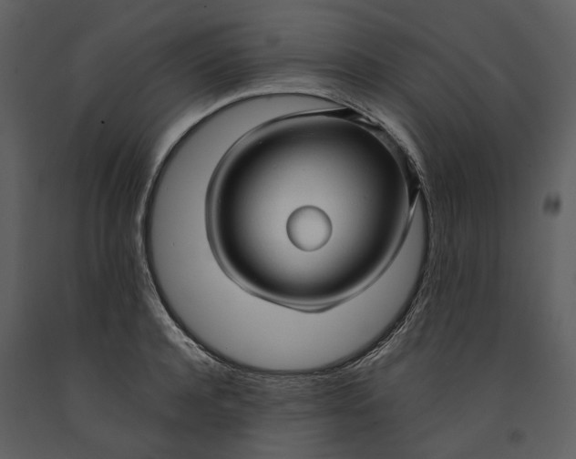 X0000090960944200708241149