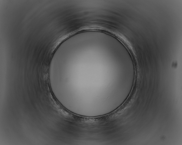 X0000090960945200708241149
