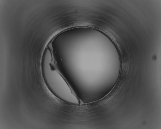 X0000090960947200708241149