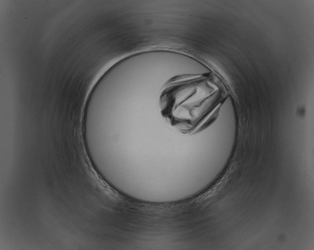 X0000090960948200708241149