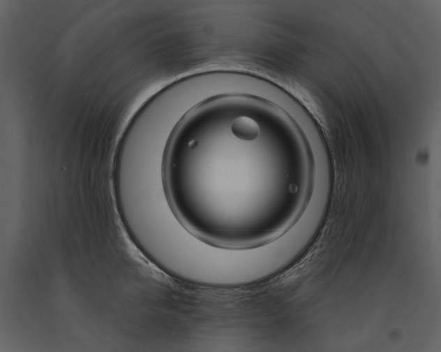 X0000090960950200708241149