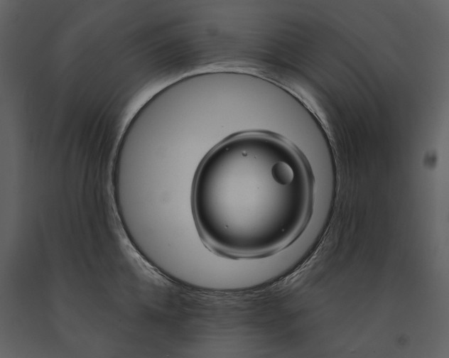 X0000090960952200708241149