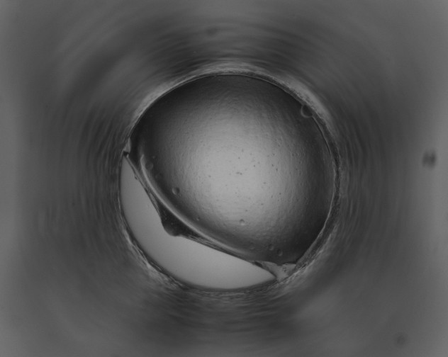 X0000090960953200708241149
