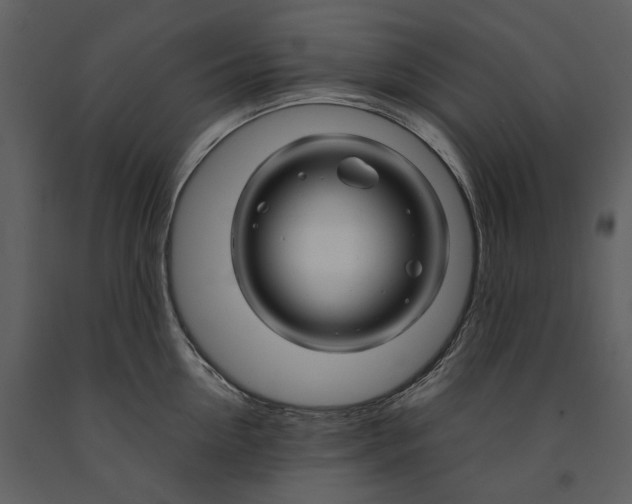 X0000090960954200708241149