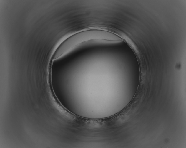X0000090960955200708241149