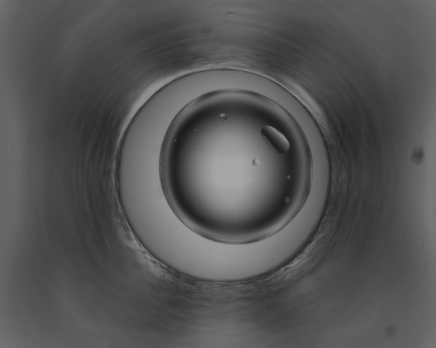 X0000090960956200708241149