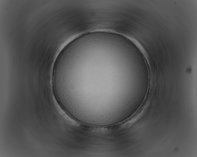 X0000090960957200708241149