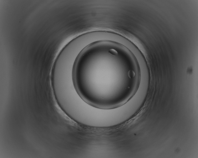 X0000090960958200708241149