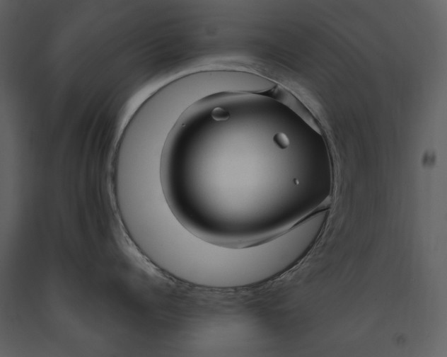X0000090960960200708241149
