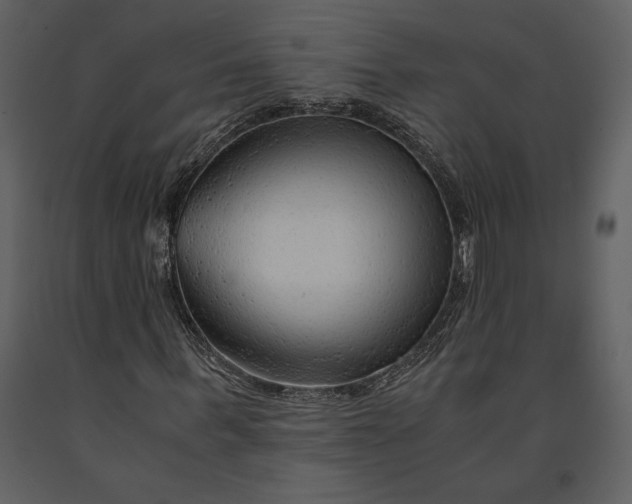 X0000090960963200708241149