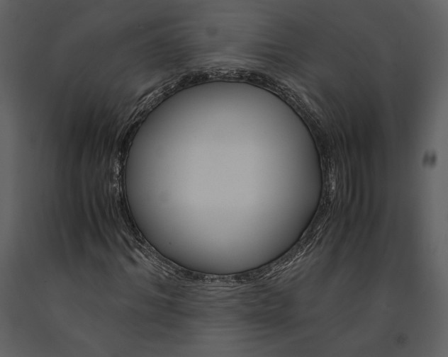 X0000090960964200708241149