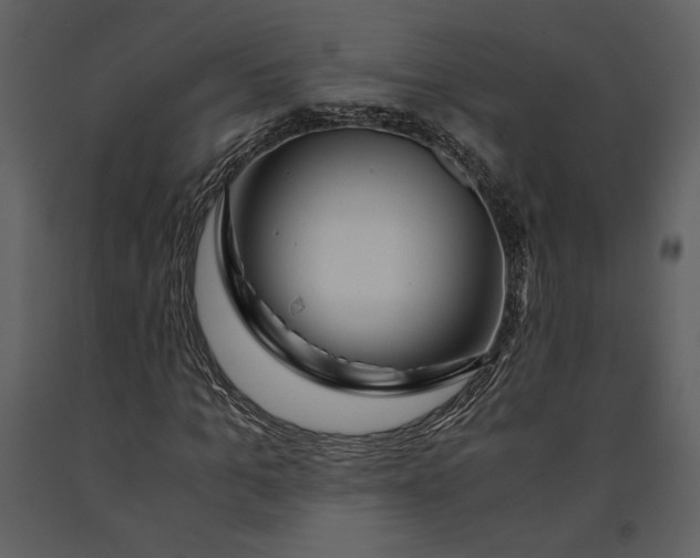 X0000090960965200708241149