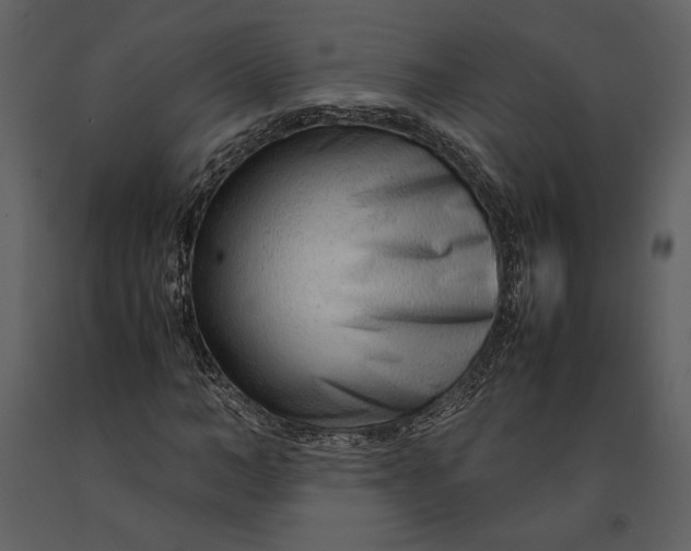 X0000090960966200708241149