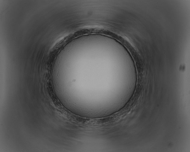 X0000090960967200708241148