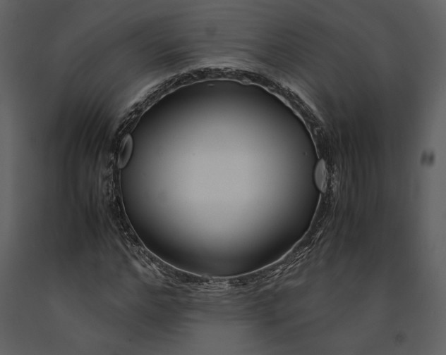 X0000090960968200708241148