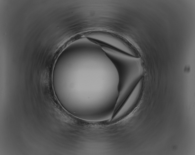 X0000090960969200708241148