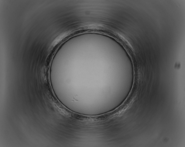 X0000090960970200708241148