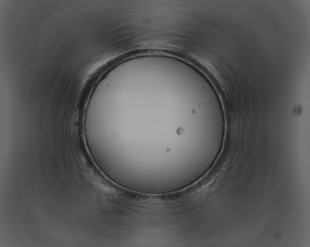 X0000090960971200708241148