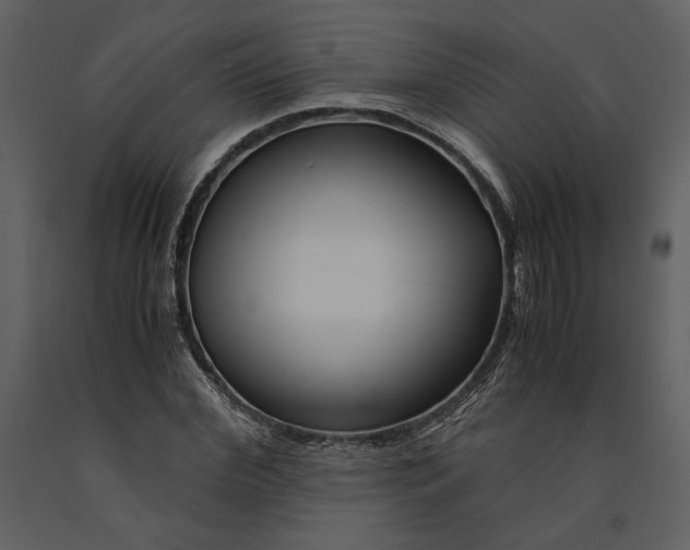 X0000090960972200708241148