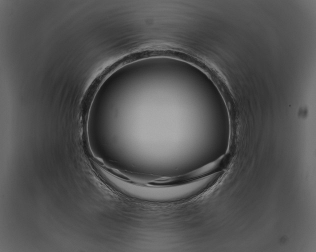 X0000090960973200708241148