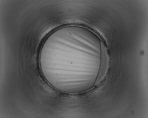 X0000090960975200708241148