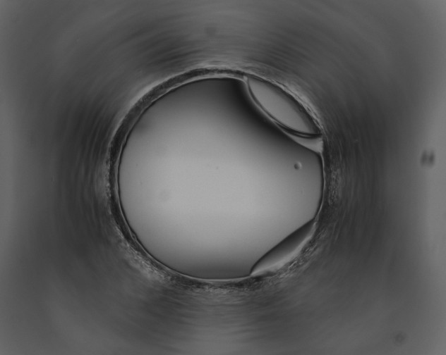 X0000090960976200708241148