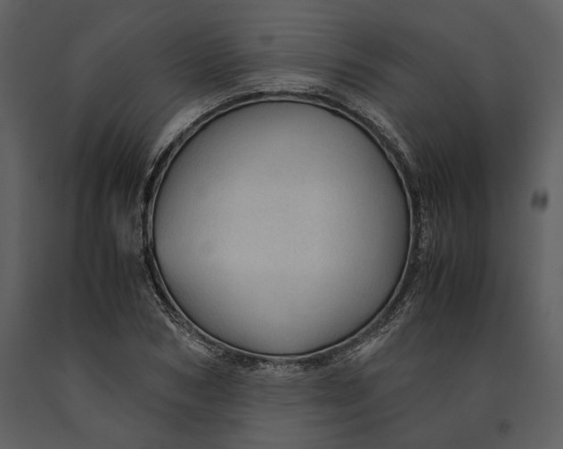 X0000090960978200708241148