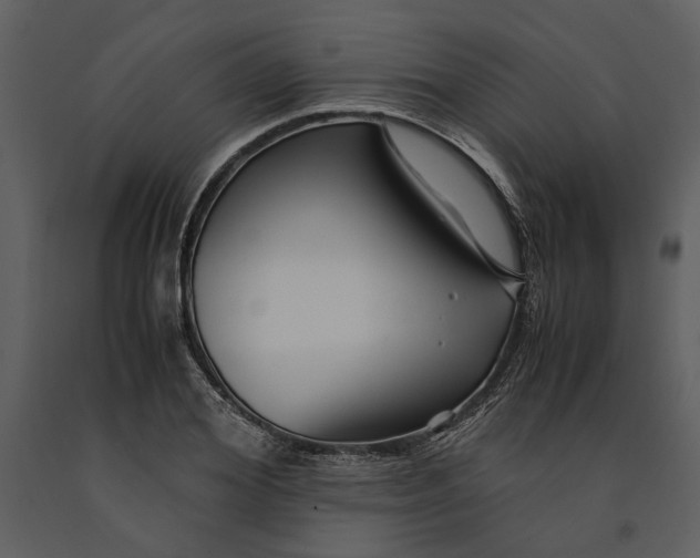 X0000090960980200708241148