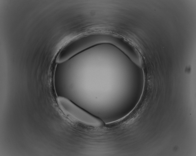 X0000090960981200708241148