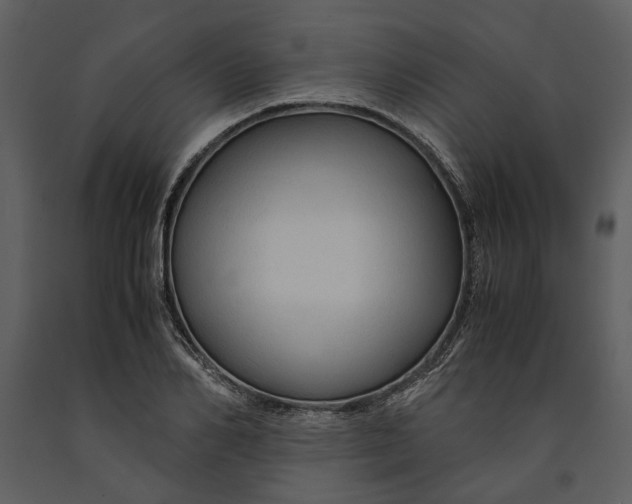 X0000090960982200708241148
