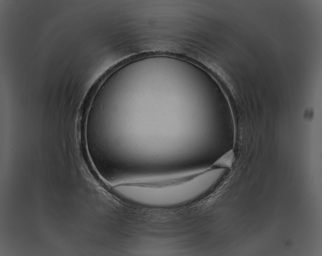 X0000090960983200708241148