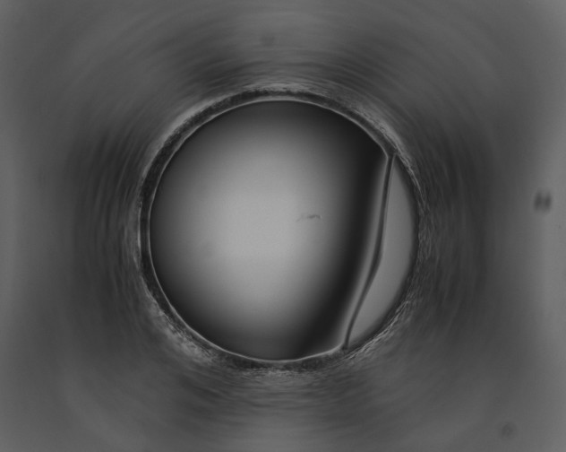 X0000090960984200708241148