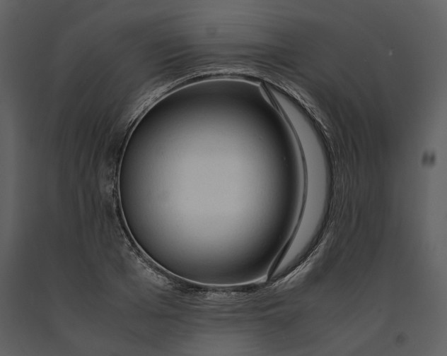 X0000090960985200708241148