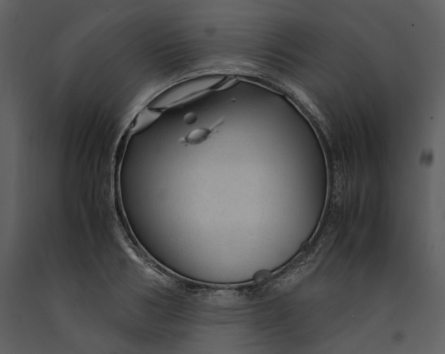 X0000090960986200708241148