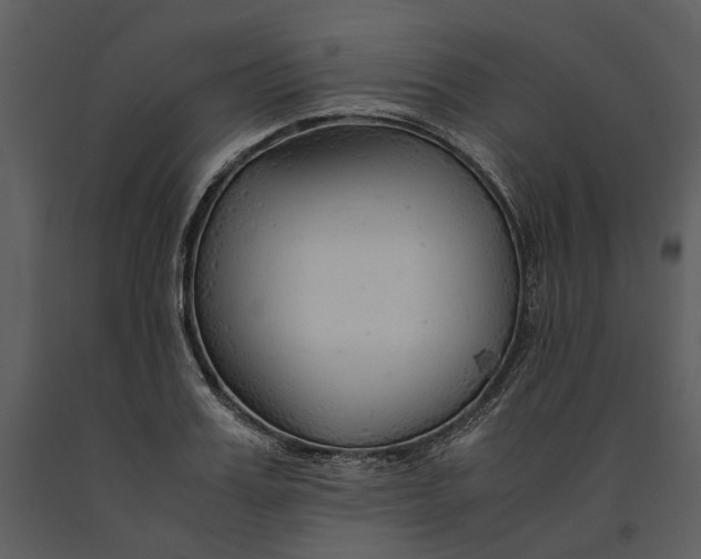 X0000090960987200708241148